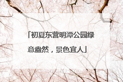 初夏东营明潭公园绿意盎然，景色宜人