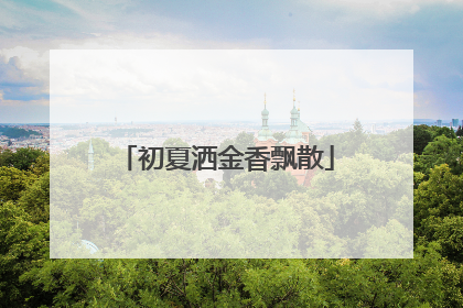 初夏洒金香飘散