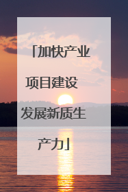 加快产业项目建设 发展新质生产力