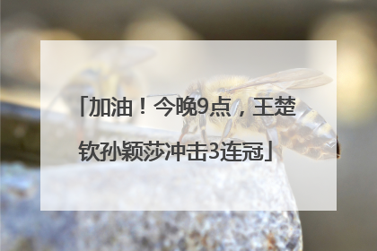 加油！今晚9点，王楚钦孙颖莎冲击3连冠