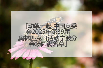 动就一起 中国奥委会2025年第39届奥林匹克日活动宁波分会场圆满落幕