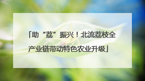助“荔”振兴！北流荔枝全产业链带动特色农业升级
