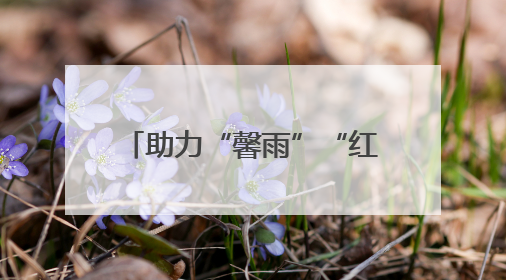 助力“馨雨”“红歌民乐队”起飞梦想，“茉莉花开”轻骑兵挺进黄桥
