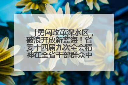 勇闯改革深水区，破浪开放新蓝海！省委十四届九次全会精神在全省干部群众中引发热烈反响