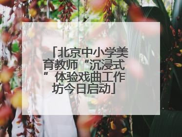 北京中小学美育教师“沉浸式”体验戏曲工作坊今日启动
