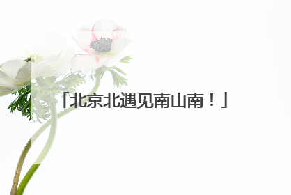 北京北遇见南山南！