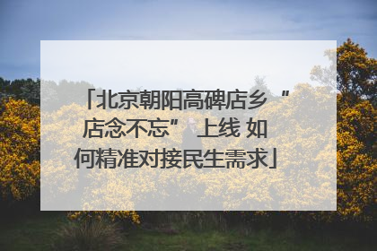 北京朝阳高碑店乡“店念不忘” 上线 如何精准对接民生需求