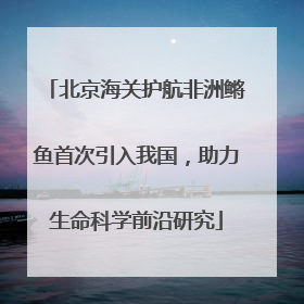 北京海关护航非洲鳉鱼首次引入我国，助力生命科学前沿研究