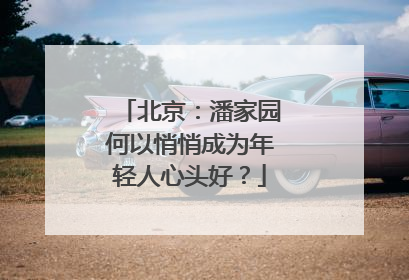 北京：潘家园何以悄悄成为年轻人心头好？