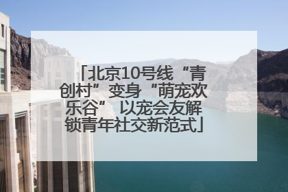 北京10号线“青创村”变身“萌宠欢乐谷” 以宠会友解锁青年社交新范式