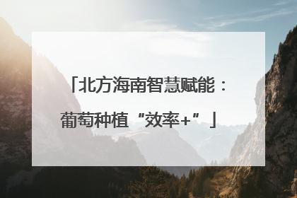 北方海南智慧赋能：葡萄种植“效率+”