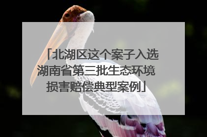 北湖区这个案子入选湖南省第三批生态环境损害赔偿典型案例