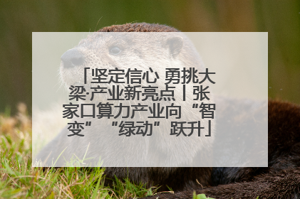 坚定信心 勇挑大梁·产业新亮点丨张家口算力产业向“智变”“绿动”跃升