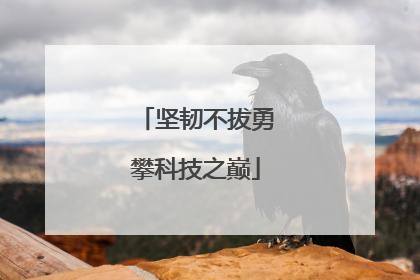 坚韧不拔勇攀科技之巅
