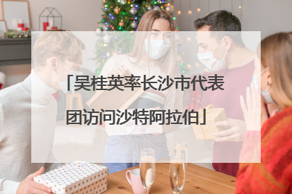 吴桂英率长沙市代表团访问沙特阿拉伯