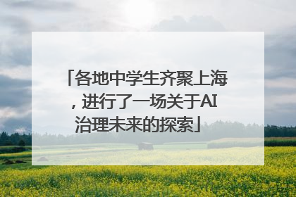 各地中学生齐聚上海，进行了一场关于AI治理未来的探索