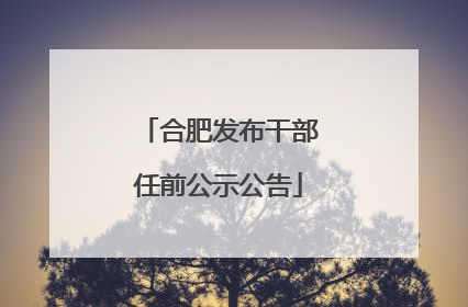 合肥发布干部任前公示公告