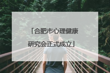 合肥市心理健康研究会正式成立