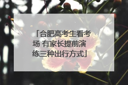 合肥高考生看考场 有家长提前演练三种出行方式