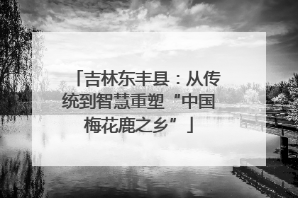 吉林东丰县：从传统到智慧重塑“中国梅花鹿之乡”