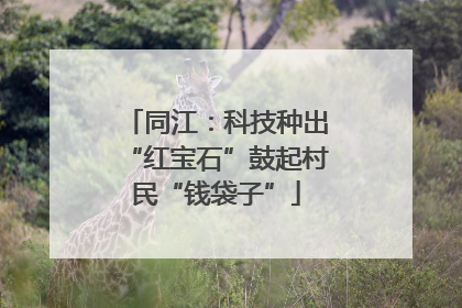 同江：科技种出“红宝石”鼓起村民“钱袋子”