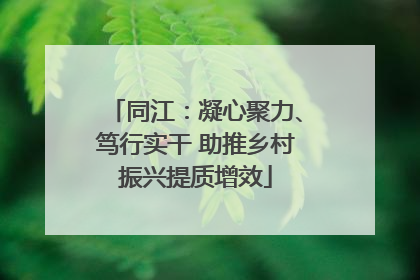 同江：凝心聚力、笃行实干 助推乡村振兴提质增效