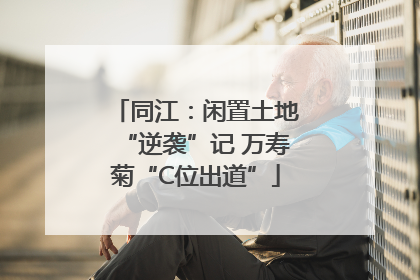 同江：闲置土地“逆袭”记 万寿菊“C位出道”