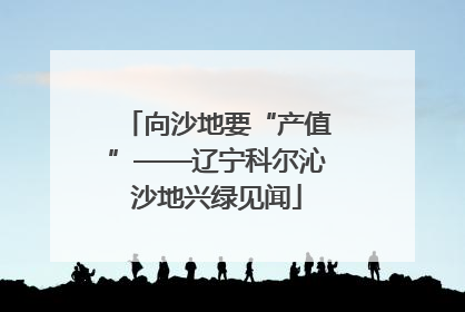 向沙地要“产值”——辽宁科尔沁沙地兴绿见闻