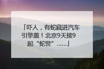 吓人，有蛇藏进汽车引擎盖！北京9天接9起“蛇警”……