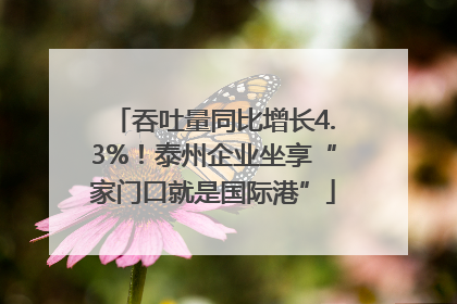 吞吐量同比增长4.3%！泰州企业坐享“家门口就是国际港”