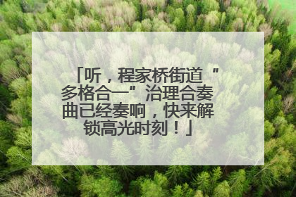 听，程家桥街道“多格合一”治理合奏曲已经奏响，快来解锁高光时刻！