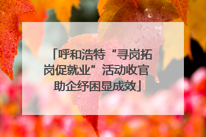 呼和浩特“寻岗拓岗促就业”活动收官 助企纾困显成效