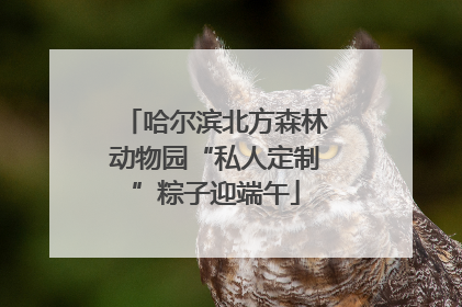 哈尔滨北方森林动物园“私人定制”粽子迎端午