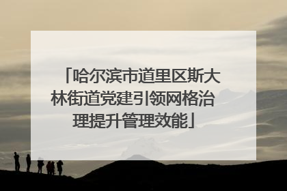 哈尔滨市道里区斯大林街道党建引领网格治理提升管理效能