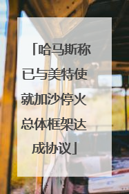 哈马斯称已与美特使就加沙停火总体框架达成协议
