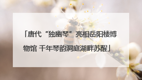 唐代“独幽琴”亮相岳阳楼博物馆 千年琴韵洞庭湖畔苏醒
