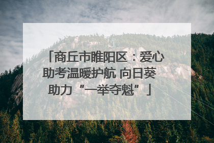 商丘市睢阳区：爱心助考温暖护航 向日葵助力“一举夺魁”