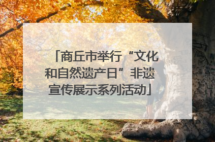 商丘市举行“文化和自然遗产日”非遗宣传展示系列活动