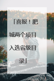 喜报！肥城两个项目入选省级目录
