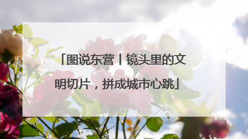 图说东营丨镜头里的文明切片，拼成城市心跳