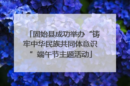 固始县成功举办“铸牢中华民族共同体意识”端午节主题活动