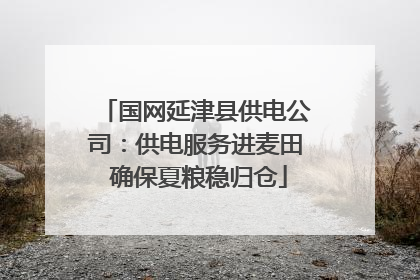 国网延津县供电公司：供电服务进麦田 确保夏粮稳归仓
