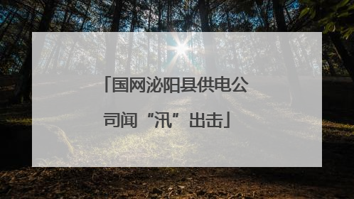 国网泌阳县供电公司闻“汛”出击