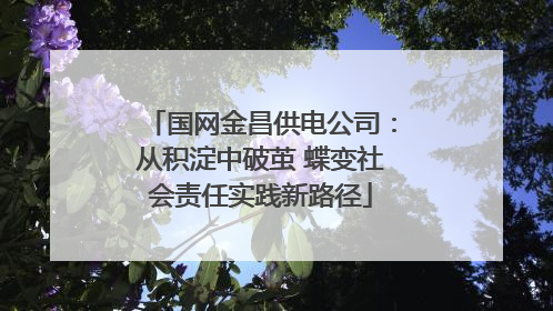 国网金昌供电公司：从积淀中破茧 蝶变社会责任实践新路径