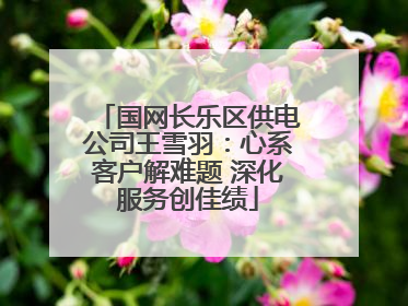 国网长乐区供电公司王雪羽：心系客户解难题 深化服务创佳绩