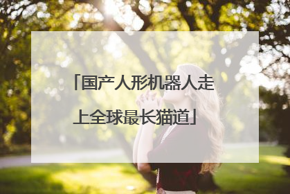 国产人形机器人走上全球最长猫道