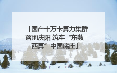 国产十万卡算力集群落地庆阳 筑牢“东数西算”中国底座