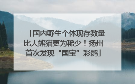 国内野生个体现存数量比大熊猫更为稀少！扬州首次发现“国宝”彩鹮