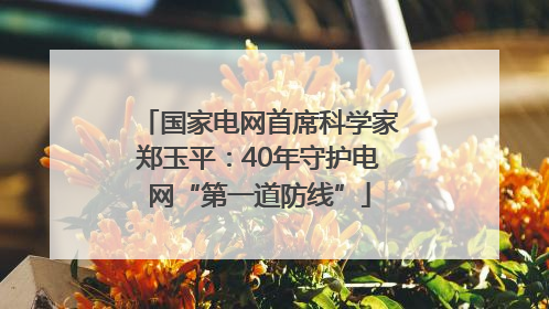 国家电网首席科学家郑玉平：40年守护电网“第一道防线”
