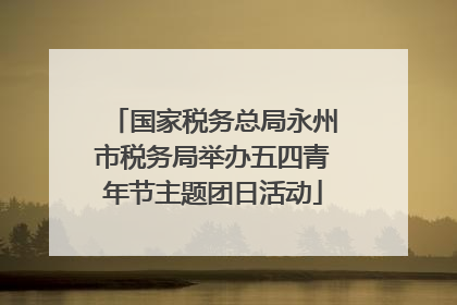 国家税务总局永州市税务局举办五四青年节主题团日活动